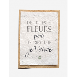 Carte en papier ensemencé